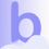 bizZzdev Logo