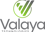 Valaya Technologies Logo