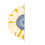 Sunflower Web Design and Branding Logo