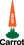 Carrot Tech Lab Logo