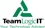 TeamLogic IT of Orange County Logo