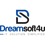 DreamSoft4u IT Solution Simplified Logo