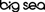 Big Sea Logo
