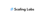 Scaling Labs Logo