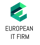 European IT Firm Logo