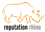 Reputation Rhino Logo