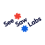 SeeSaw Labs Logo