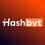 Hashbyt - AI-First Leading Frontend & UI/UX SaaS Partner Logo