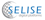 SELISE Digital Platforms Logo