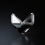 FOXXY Logo