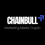 Chainbull Logo
