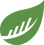 BusySeed Logo