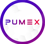 Pumex Computing, LLC Logo