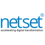 NetSet Software Solutions Logo