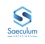 Saeculum Solutions Pvt Ltd Logo