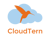 CloudTern Solutions Inc Logo