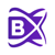 BlockchainX Logo
