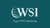Expert WSI eMarketing (WSI™) Logo
