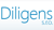 DILIGENS sro Logo