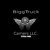 Biggtruck Carriers LLC Logo