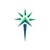 Northstar Financial Consulting Group Logo