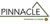Pinnacle Professional Accounting Logotype