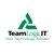 TeamLogic IT by Visco Ventures Logo
