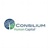 Consilium Human Capital Logo