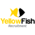 YellowFish Recruitment Logo