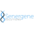 Senergene Solutions - Making Complexity Simple Logo
