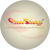 ShivShakti Web Solutions & Services Logo