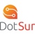 Dotsur LLC Logo