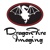 DragonFire Imaging Logo