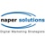 Naper Solutions, Inc. Logo