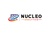 Nucleo Analytics Pvt Ltd Logo