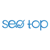 Seo Top Logo