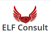 ELF Consult Logo