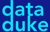 Data Duke Project Consulting Logo