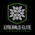 Emerald Elite Consulting Logo