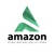 Amazon Publishing Solutions Logo