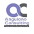Anguiano Consulting Inc Logo