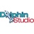 Dolphin Studio Pune Logo