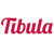 TIBULA CONSULTING Logo