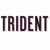 Trident Computer Services Logo