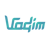 Vadim Internet Solutions Logo