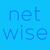 NETWISE DIGITAL MARKETING AGENCY Logo