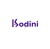 Codini Logo