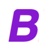 BlindSeer Pty Ltd Logotype