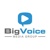BigVoice Media Group Logo