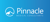 Pinnacle Medical Consultants, LLC Logo